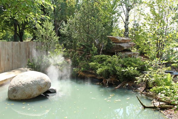 VII Moscow Flower Show 2018: фотоотчет, номинация Show Garden