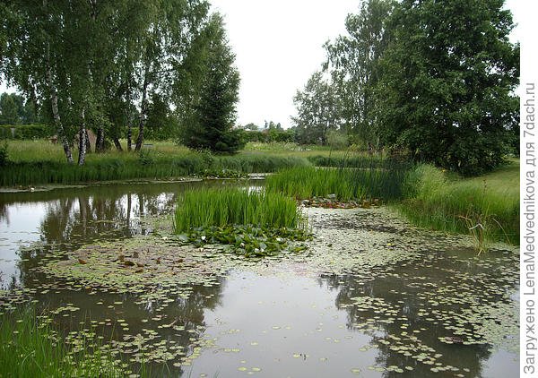 Русские водные сады