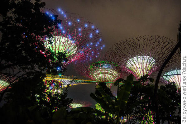 Сингапурский чудо-парк Gardens By The Bay