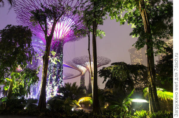 Сингапурский чудо-парк Gardens By The Bay