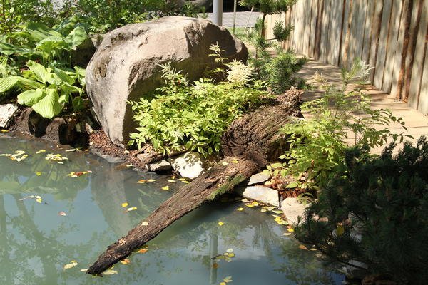 VII Moscow Flower Show 2018: фотоотчет, номинация Show Garden