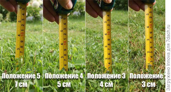 Стрижка запущенного газона. Справится ли аккумуляторная газонокосилка с высокой травой