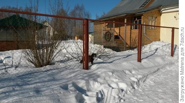 Знакомьтесь, моя деревня. Граница на замке