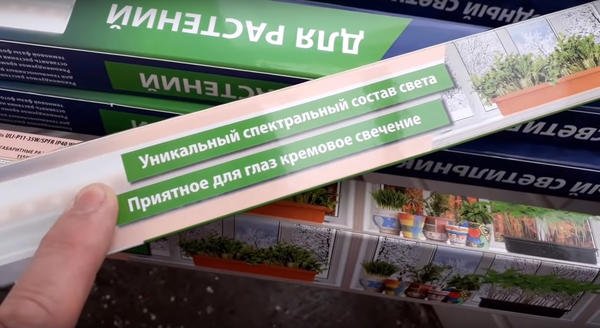 Освещение и полив в автономной зимней теплице