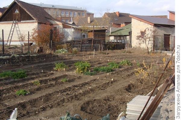 Мечта сбылась - купили дом с участком. Год спустя