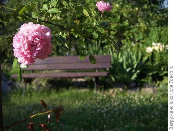 Декоративные элементы сада. Лавочки, скамейки, качели, колодец в качестве декоративных элементов сада