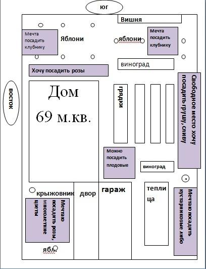 Наш участок: «Во саду ли, в огороде...»