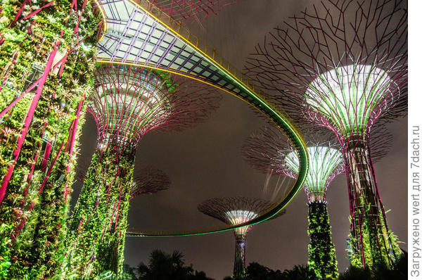 Сингапурский чудо-парк Gardens By The Bay