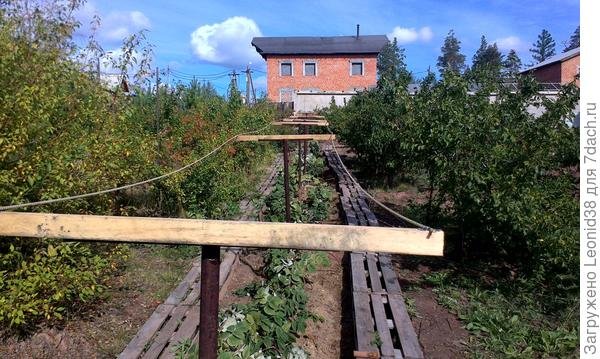 Высокие грядки из дерева и подпорки для малины своими руками. Фото