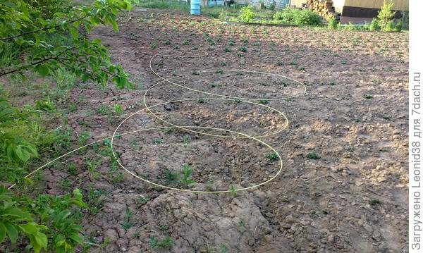 Высокие грядки из дерева и подпорки для малины своими руками. Фото