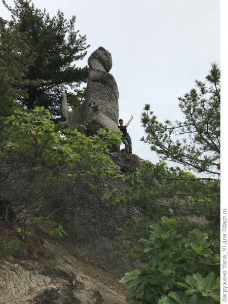 Здесь вам не равнина, здесь климат иной... (Приморье. "Парк драконов")