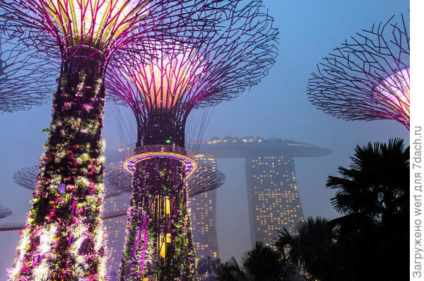 Сингапурский чудо-парк Gardens By The Bay