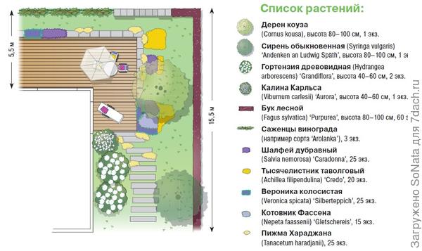 Дизайн участка перед домом: два проекта с террасой