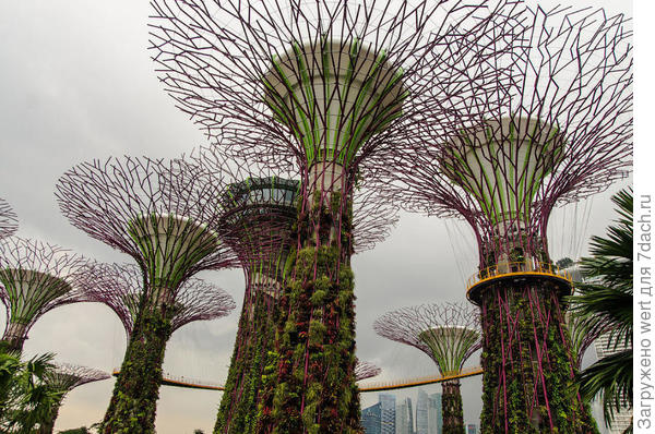 Сингапурский чудо-парк Gardens By The Bay