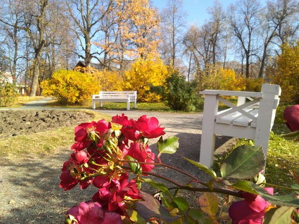 Усадьба Пушкиных в Болдино. Экскурсия. Фотографии