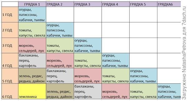 Как упорядочить посадки с учетом севооборота. Схемы, совмещенные посадки, фото