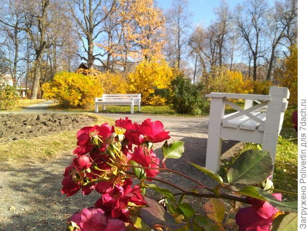 Ландшафтный дизайн в Нижегородских усадьбах. Фото