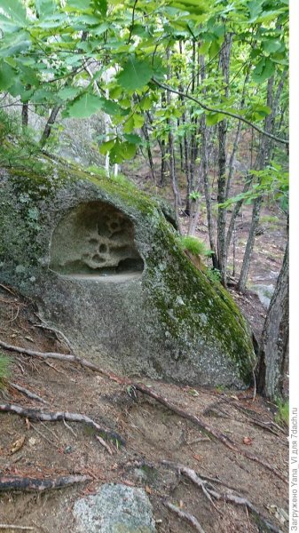 Здесь вам не равнина, здесь климат иной... (Приморье. "Парк драконов")