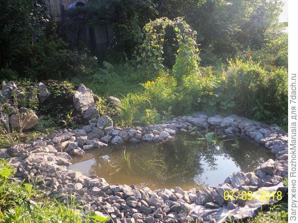 Искусственный водоем своими руками. Практические советы. Мастер-класс с фото