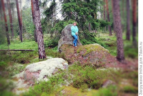 Арборетум Мустила в Финляндии. Экскурсия. Фото