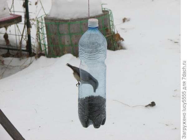 Зимняя прогулка на дачу