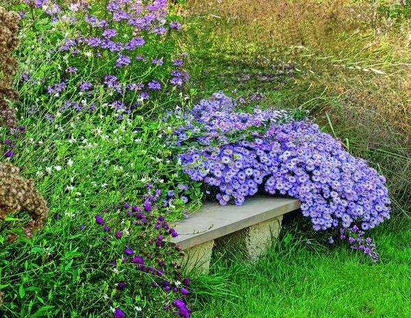 Садовые скамьи из камня в ландшафтном дизайне