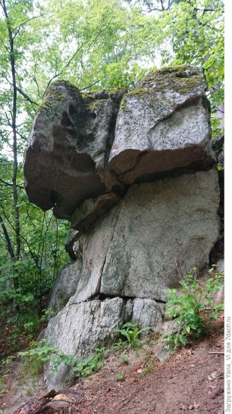 Здесь вам не равнина, здесь климат иной... (Приморье. "Парк драконов")