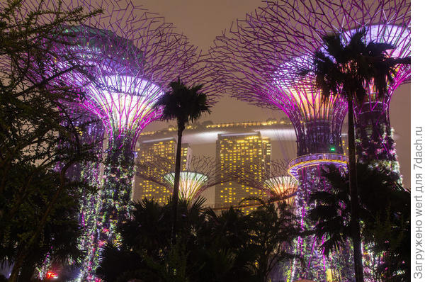 Сингапурский чудо-парк Gardens By The Bay