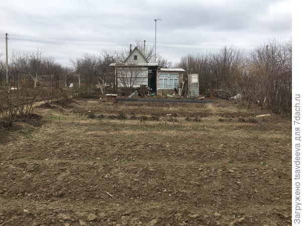 Огород моей мечты. Планирование работ по обустройству участка