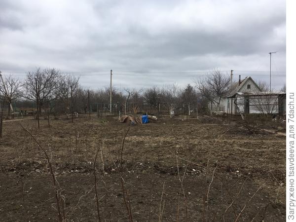 Огород моей мечты. Планирование работ по обустройству участка