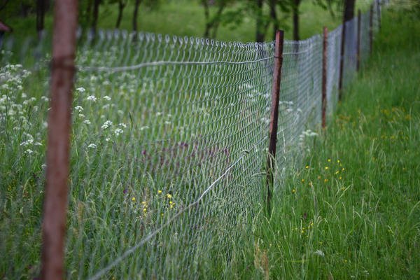 Заборы из сетки: варианты и стоимость