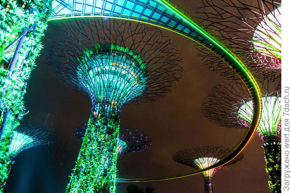 Сингапурский чудо-парк Gardens By The Bay