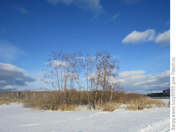 Зимняя прогулка на дачу