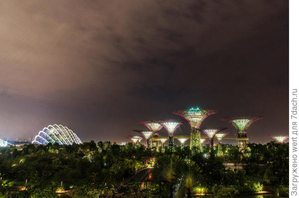 Сингапурский чудо-парк Gardens By The Bay