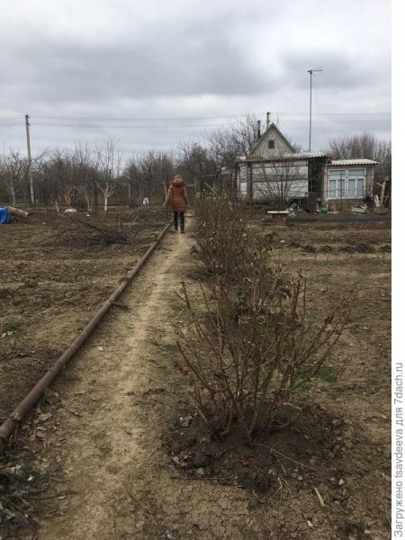 Огород моей мечты. Планирование работ по обустройству участка