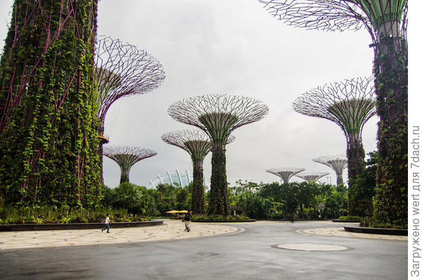 Сингапурский чудо-парк Gardens By The Bay