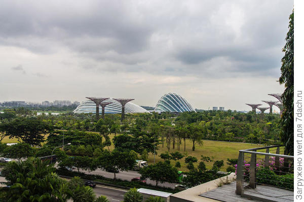 Сингапурский чудо-парк Gardens By The Bay