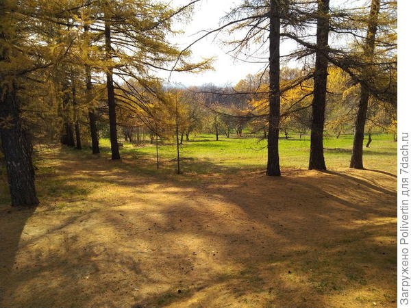 Ландшафтный дизайн в Нижегородских усадьбах. Фото