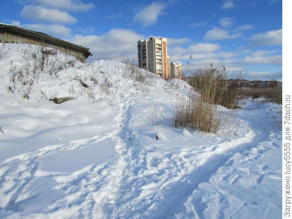 Зимняя прогулка на дачу