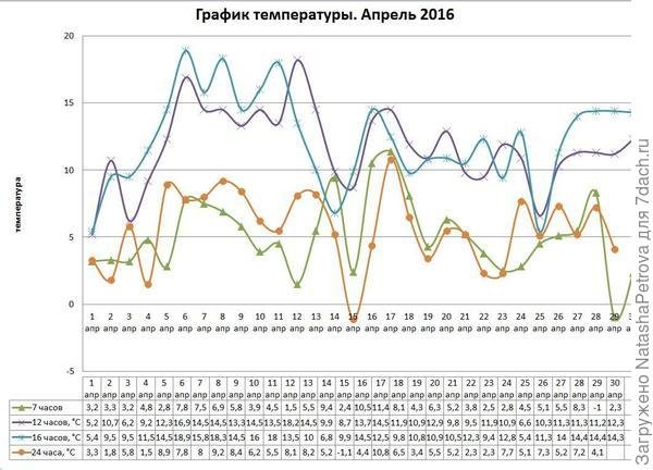 Как упорядочить посадки с учетом севооборота. Схемы, совмещенные посадки, фото