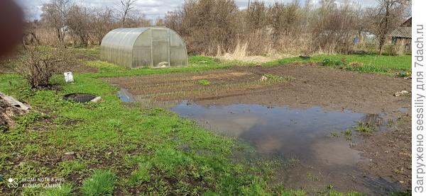 Дорожки между грядок из тротуарной плитки своими руками. Фото и видео