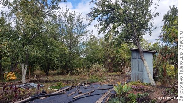 Посадка живой изгороди. Фото