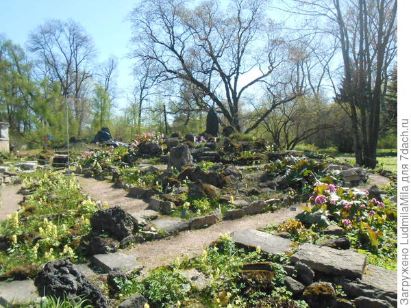 Ботанический сад Петра Великого