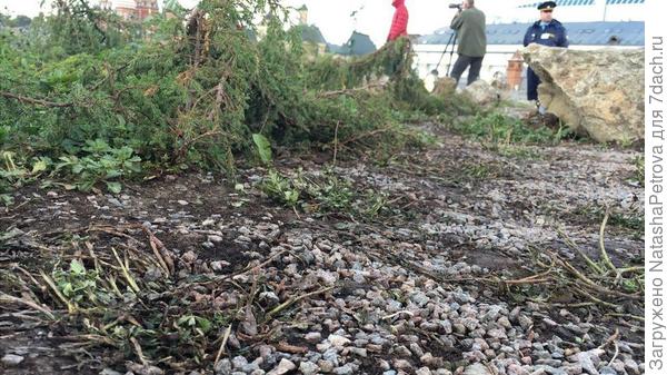 В центре Москвы открылся парк «Зарядье»